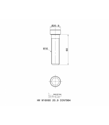 HW M16X60 20.9 DIN7984
