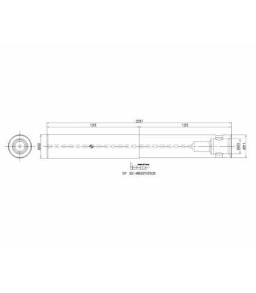 ST 32-MB32X250E