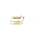 SCIR 41-MTR006     IC1008