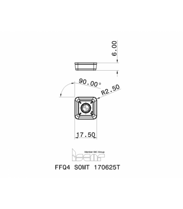 FFQ4 SOMT 170625T IC810