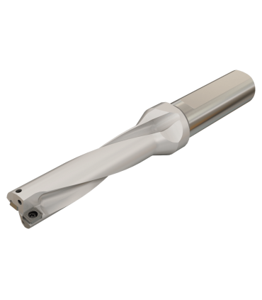 H490 ANKX 090408PNTR IC5400