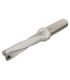 H490 ANKX 120508PNTR IC810