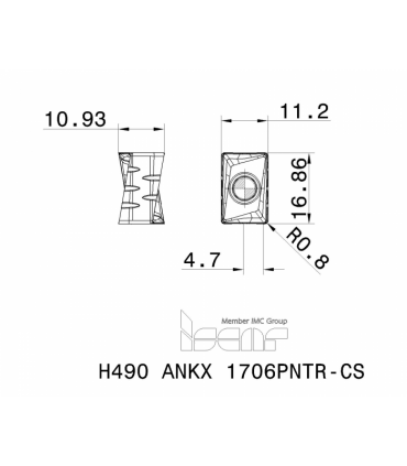 H490 ANKX 1706PNTR-CS IC830