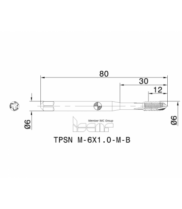 TPSN M-6X1.0-M-B HETI