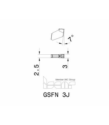 GSFN 3J IC20