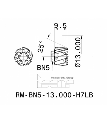 RM-BN5-13.000-H7LB IC08