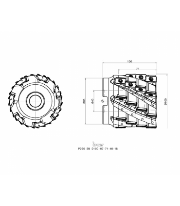 P290 SM D100-07-71-40-18