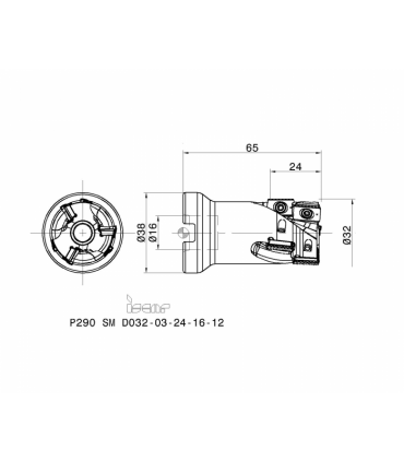 P290 SM D032-03-24-16-12