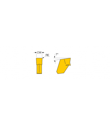 GFN 4 IC20