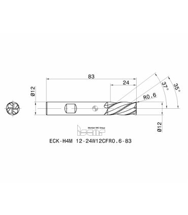 ECK-H4M 12-24W12CFR0.6-83 IC900