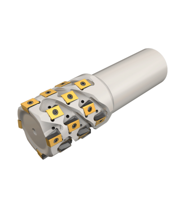 T490 LNM D40-44-4-W32-08C