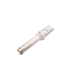 DR250-100-32-09-4D-T
