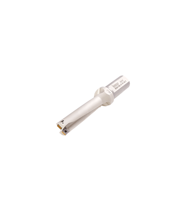 DR250-100-32-09-4D-T