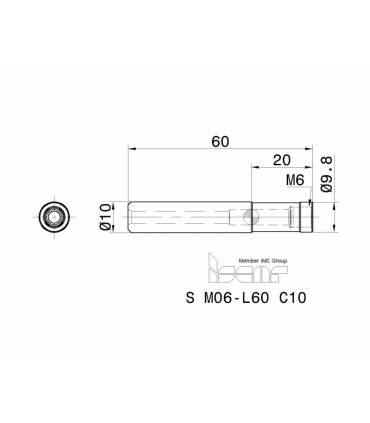 S M06-L60 C10
