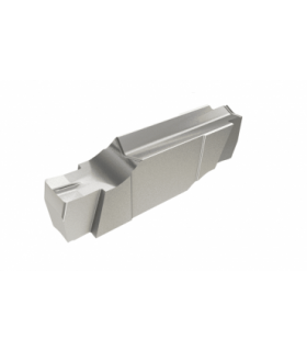 GIPI 1.96-0.10 IC20