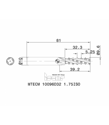 MTECM 10096D32 1.75ISO IC908