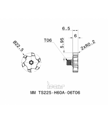 MM TS225-H60A-06T06 IC908