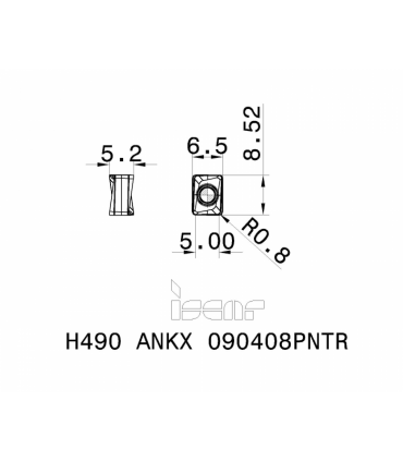 H490 ANKX 090408PNTR IC5400