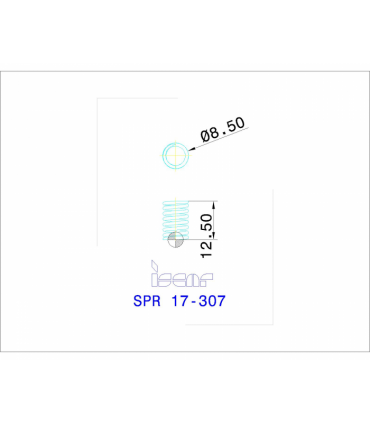 SPR 17-307