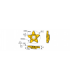 PENTA 17-300NP08RS IC1008