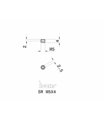 SR M5X4 DIN913