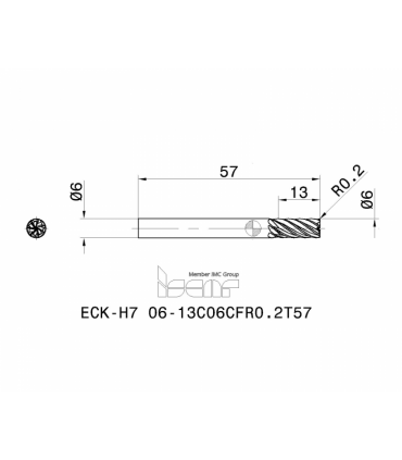 ECK-H7 06-13C06CFR0.2T57 IC900