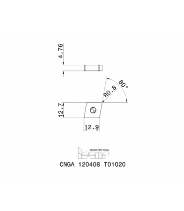 CNGA 120408 Z02020 IW10