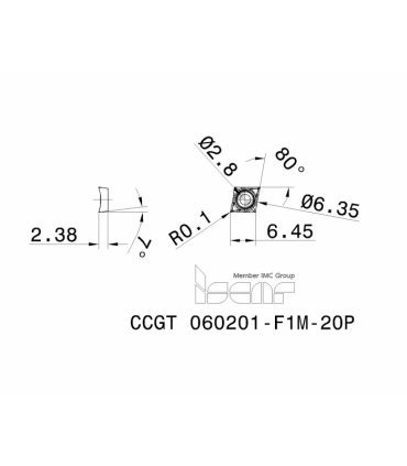 CCGT 060201-F1M-20P IC1008