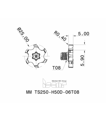MM TS250-H50D-06T08 IC908