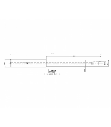 S M12-L300-C25-C-H