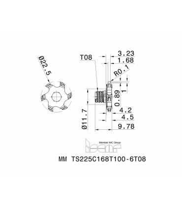 MM TS225C168T100-6T08 IC928