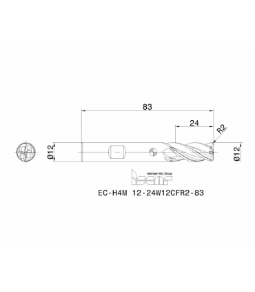 EC-H4M 12-24W12CFR2-83 IC900