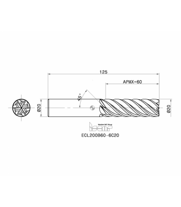 ECL200B60-6C20 IC900