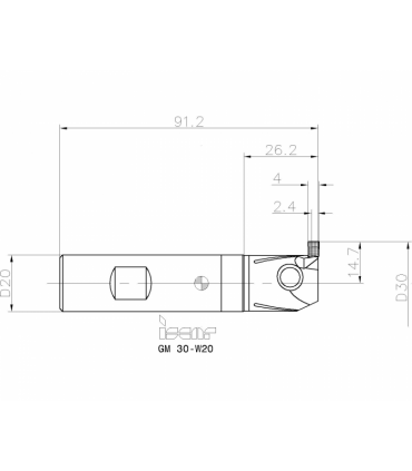 GM 30-W20