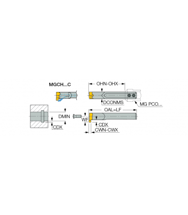 MGCH 08