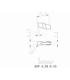 GIP 4.23-0.10 IC20