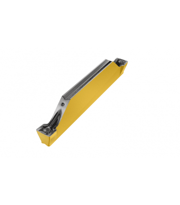 HFPN 2010 IC808