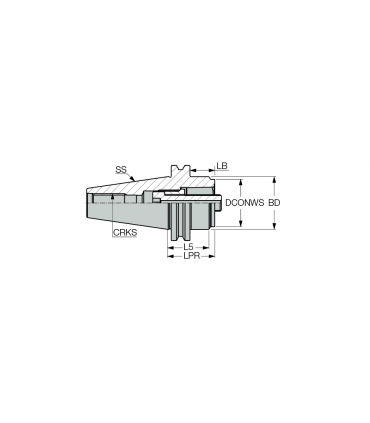 C4 AD CATI 40X40