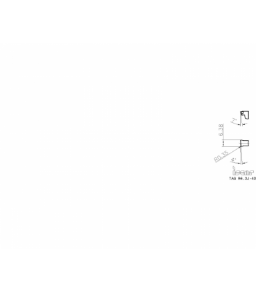 TAG R6.3J-4D IC808