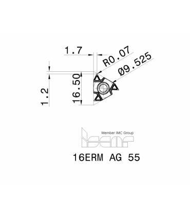 16ERM AG 55        IC908
