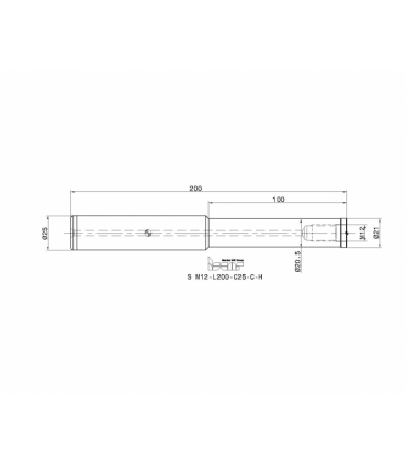 S M12-L200-C25-C-H