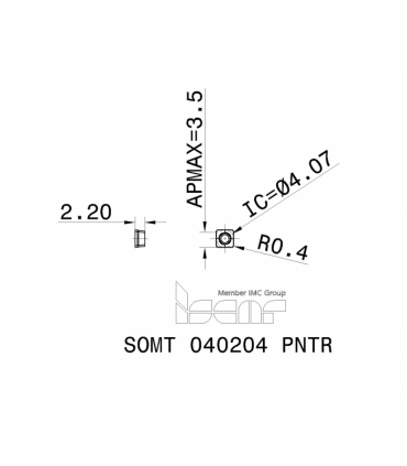 SOMT 040204 PNTR IC808