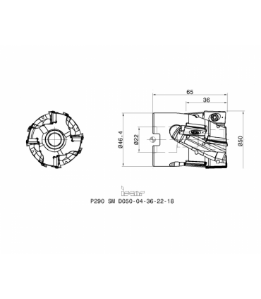 P290 SM D050-04-36-22-18
