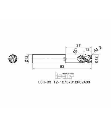 ECR-B3 12-12/37C12R02A83 IC08