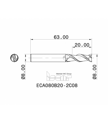 ECA080B20-2C08 IC08