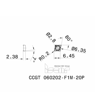 CCGT 060202-F1M-20P IC1008
