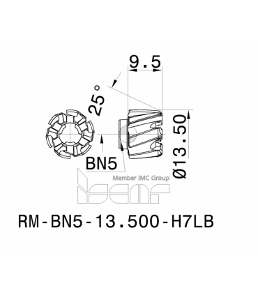 RM-BN5-13.500-H7LB IC08