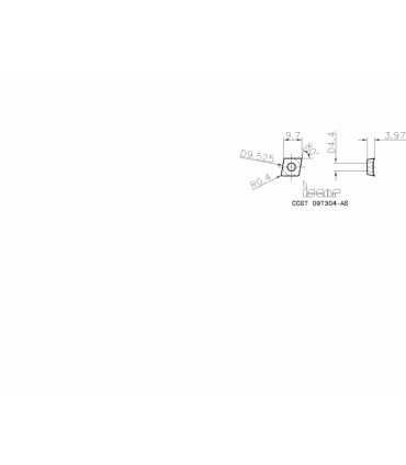 CCGT 09T304-AS IC520