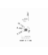 CCMT 060204-WG IC907