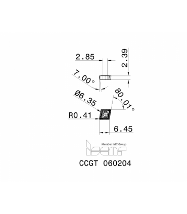 CCGT 060204 IC30N